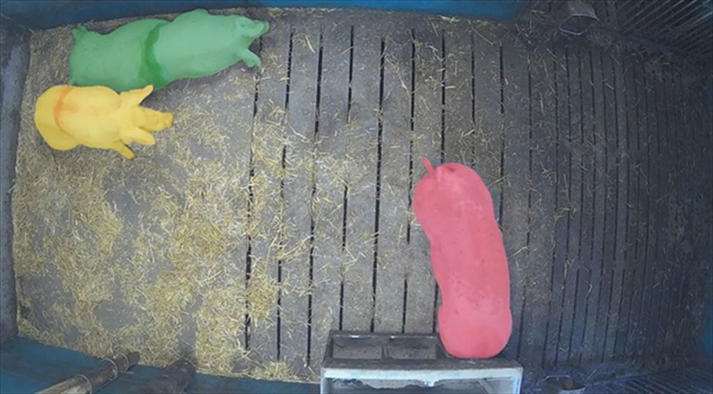 Sow and piglet monitoring.jpg